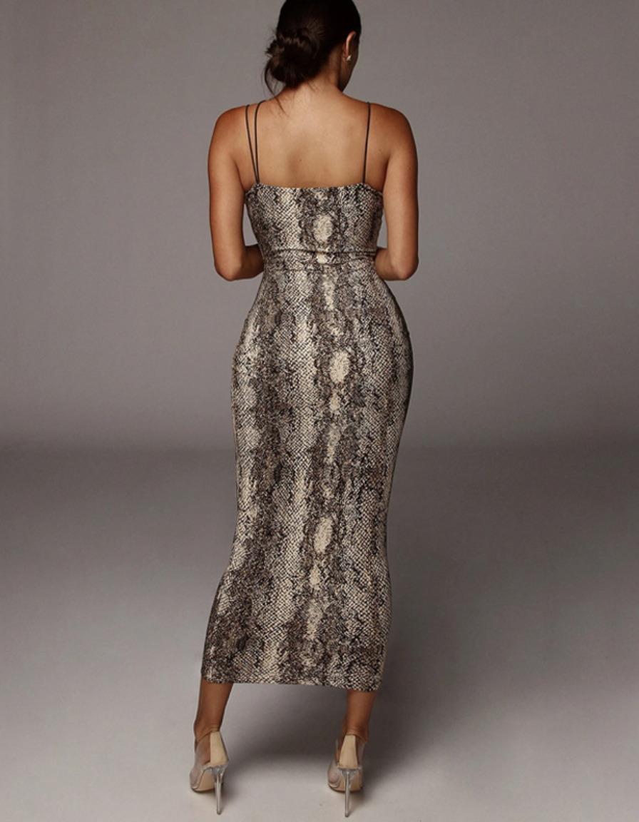 Volara Snake Print Midi Dress