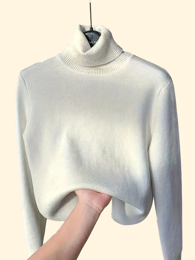 Cozy Womens Solid Turtle Neck Pullover Sweater