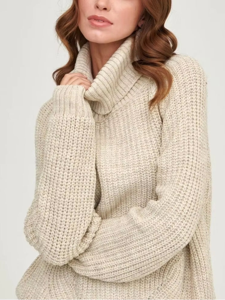 Long Sleeve Turtleneck Sweater