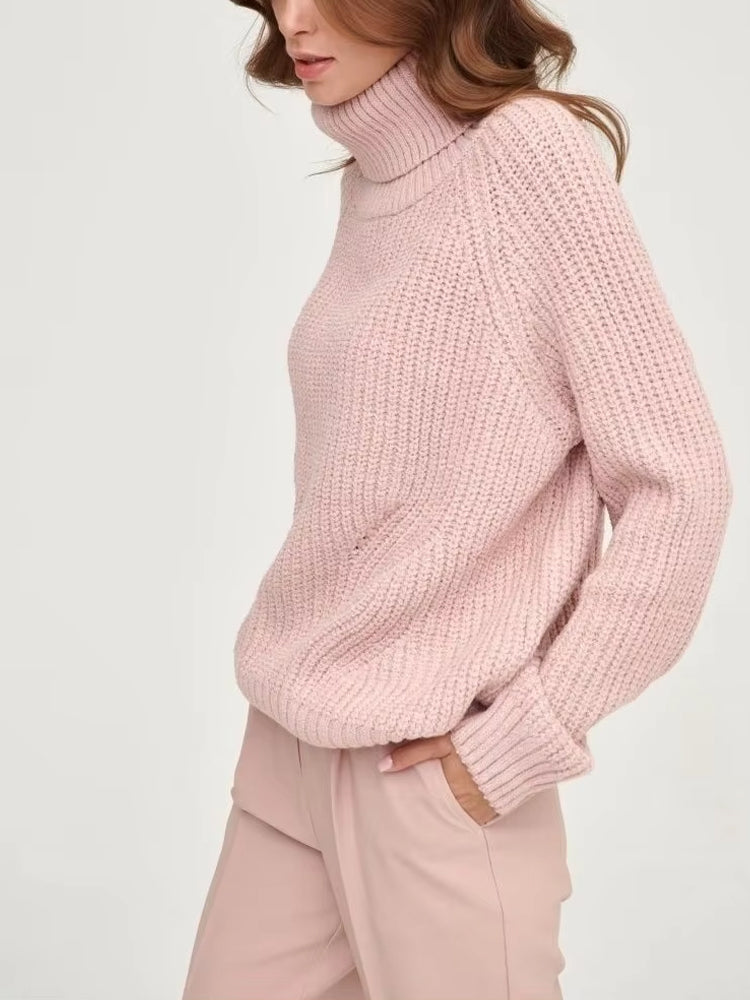 Long Sleeve Turtleneck Sweater