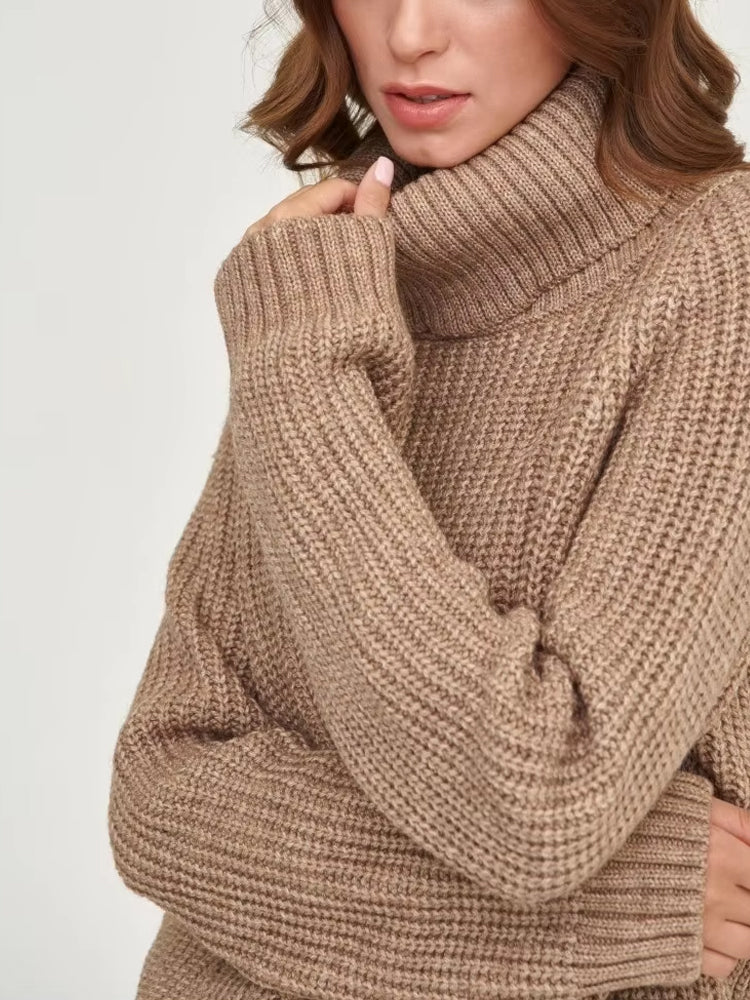 Long Sleeve Turtleneck Sweater