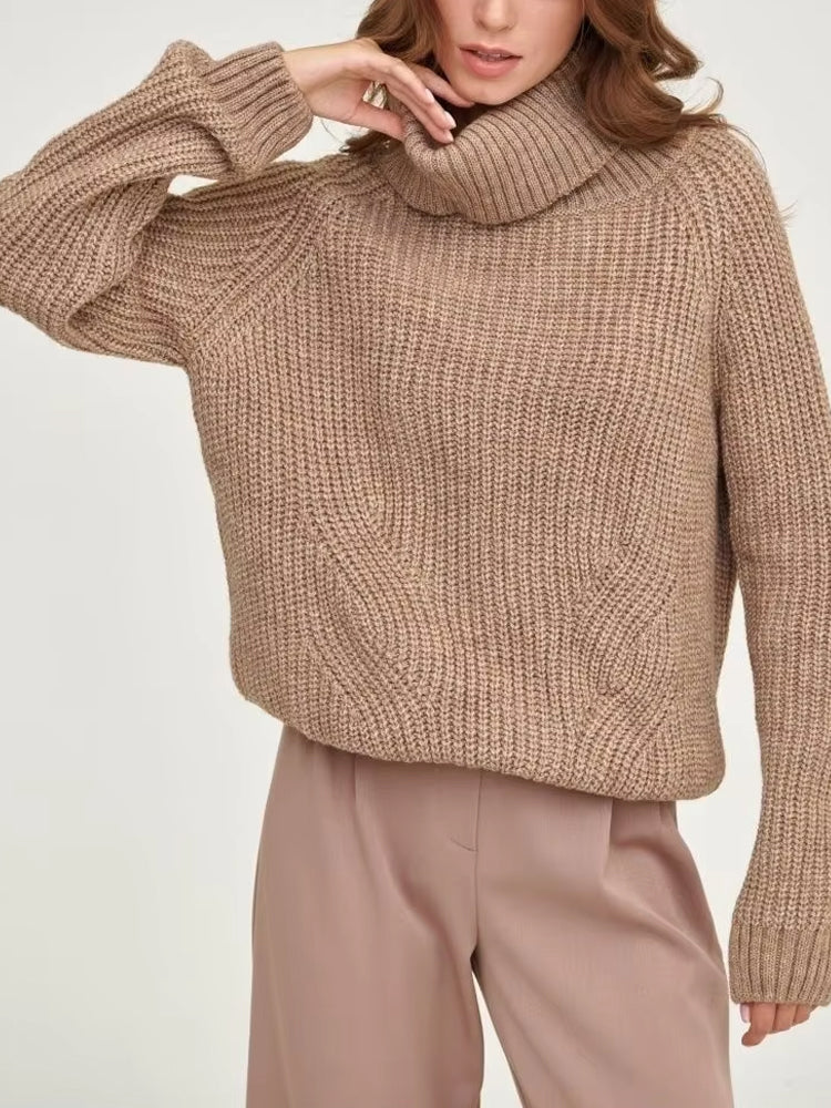 Long Sleeve Turtleneck Sweater