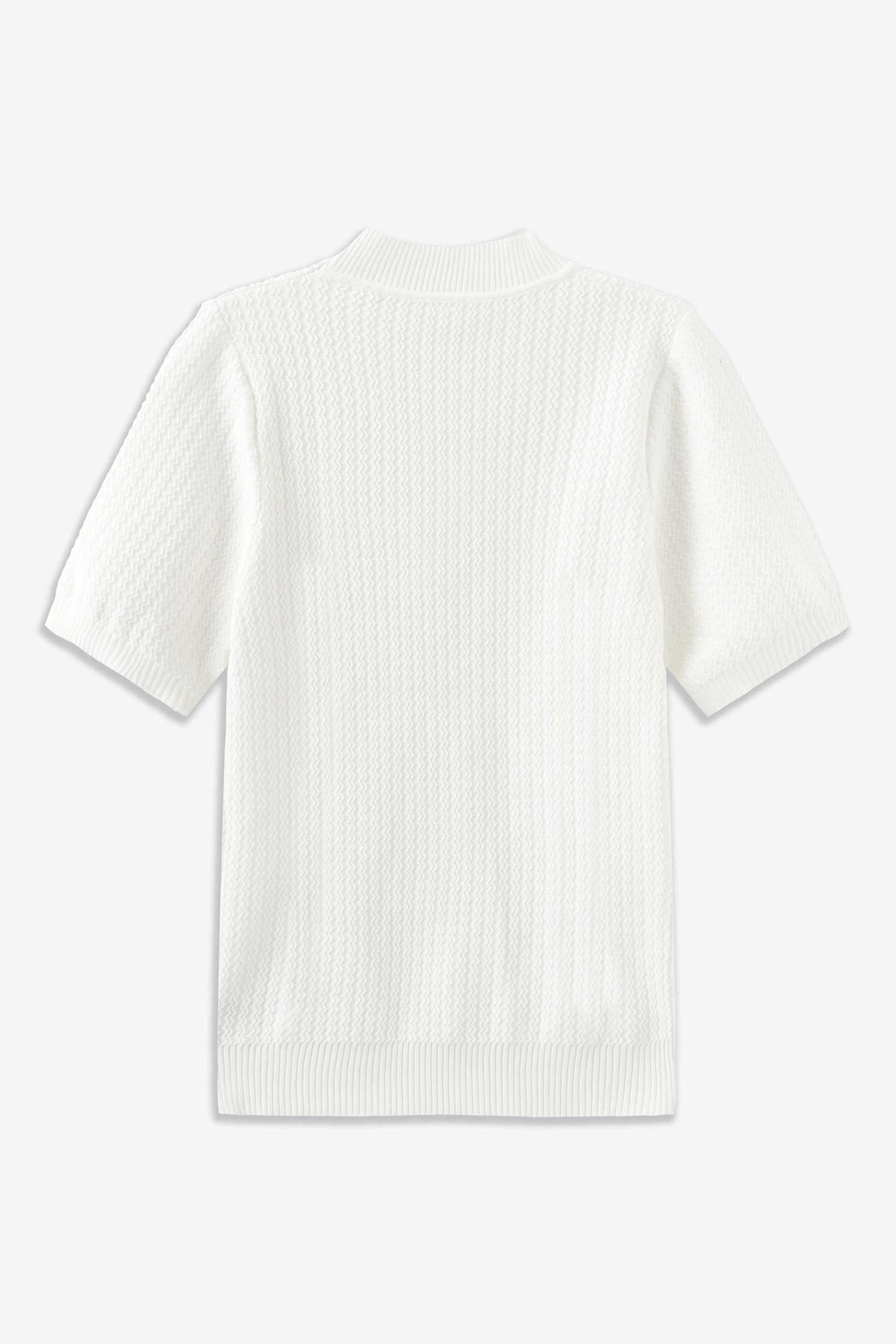 Achilles Short-Sleeved Short Turtleneck Shirt