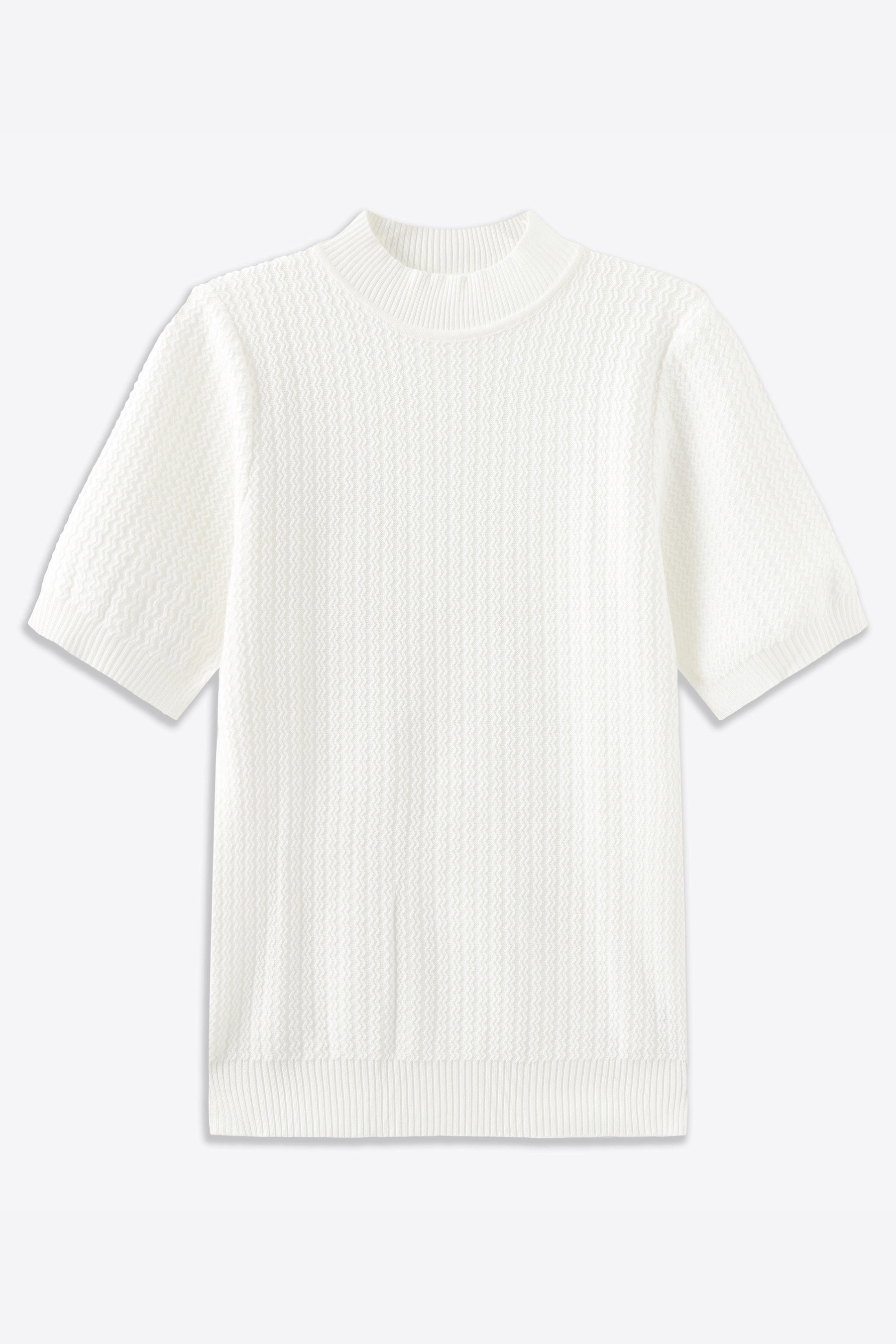 Achilles Short-Sleeved Short Turtleneck Shirt