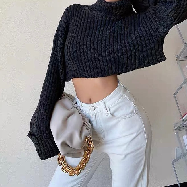 Rafali Cropped Sweater Top