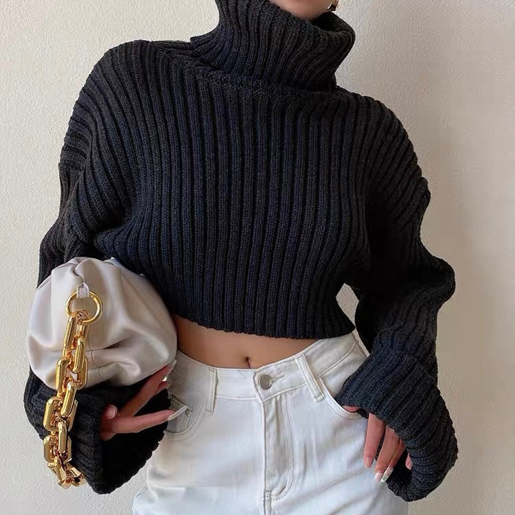 Rafali Cropped Sweater Top